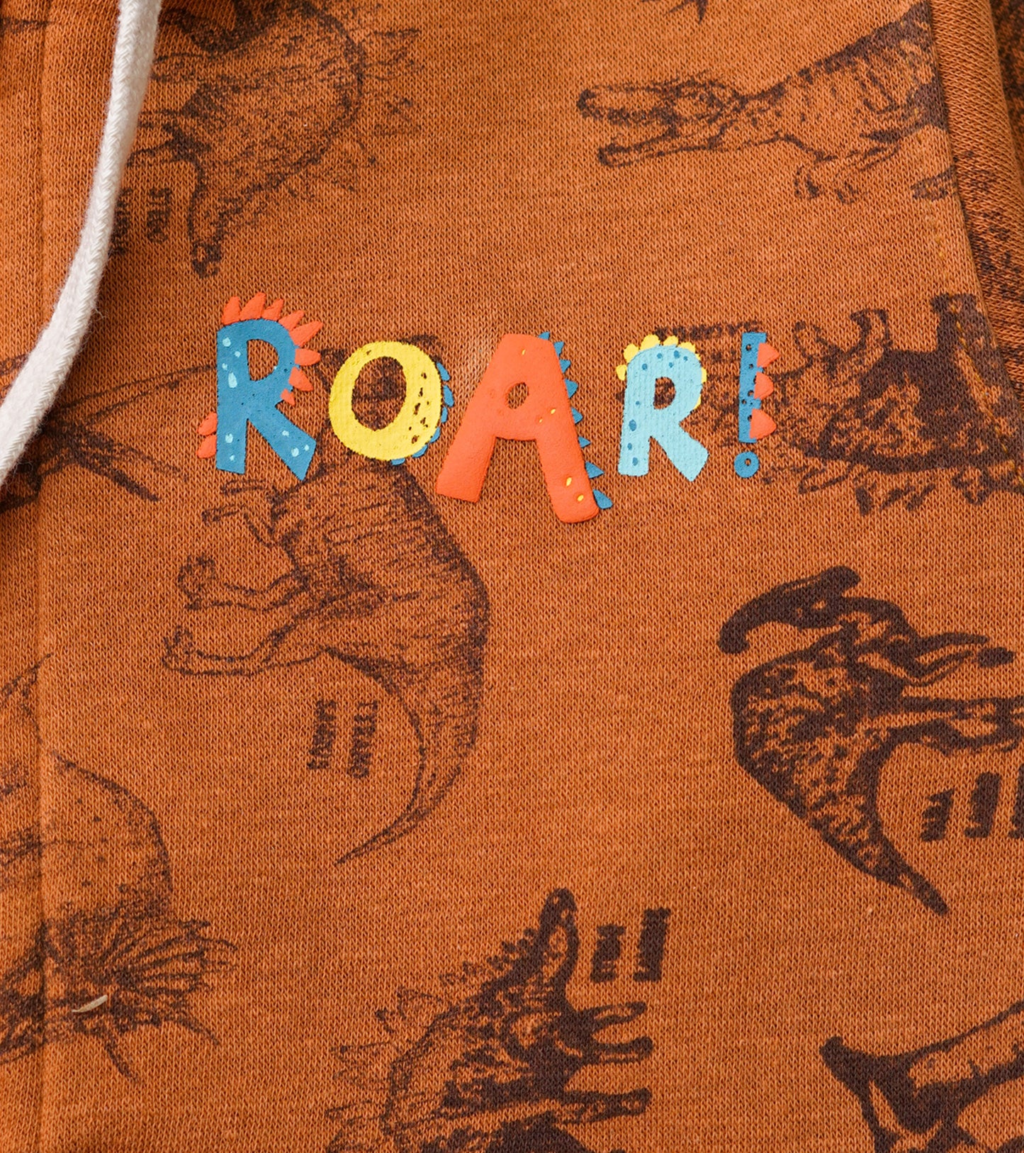 BOYS DINO PRINTED ROAR HOODIE