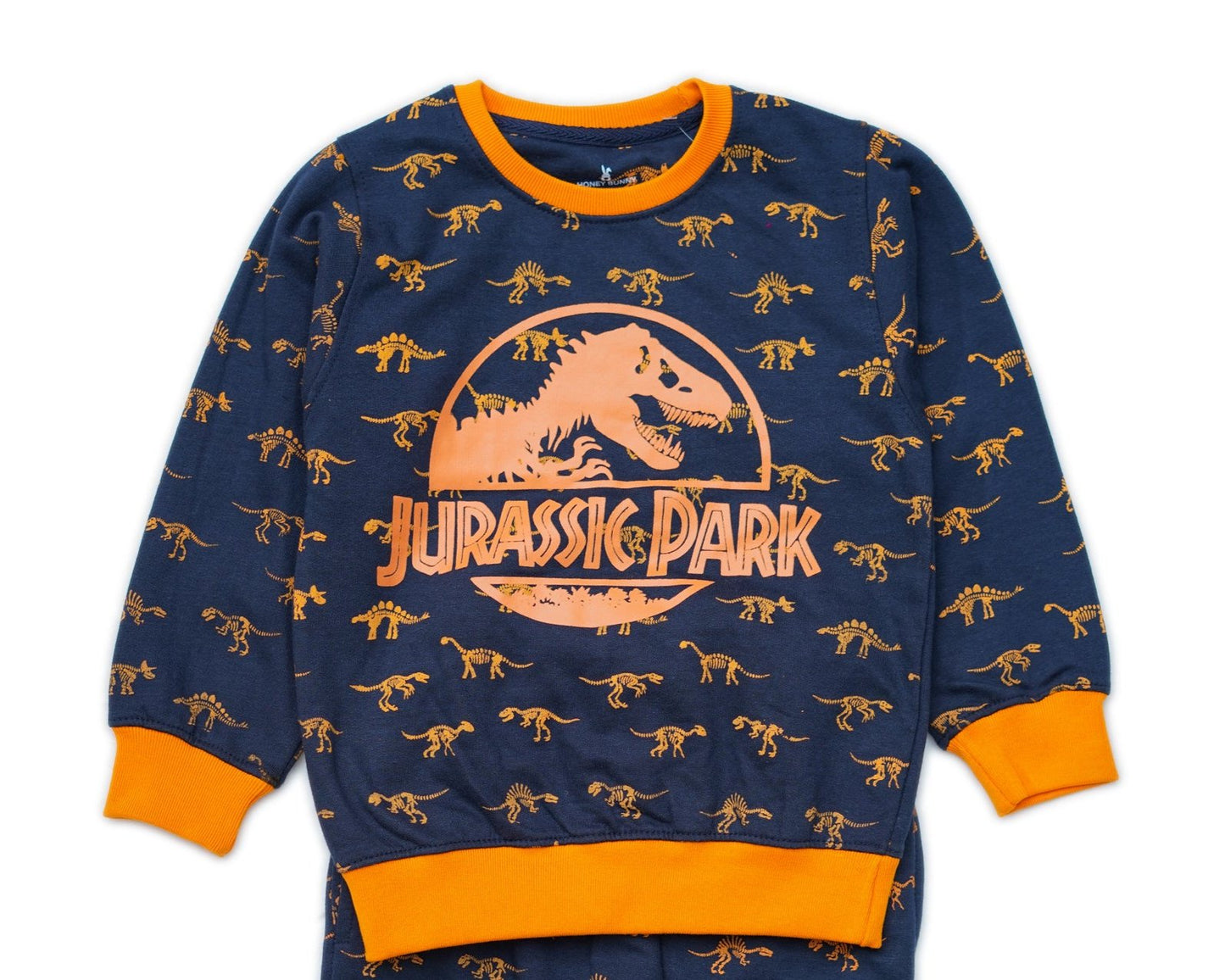 BOYS JURASSIC PARK FLEECE SWEATSHIRT